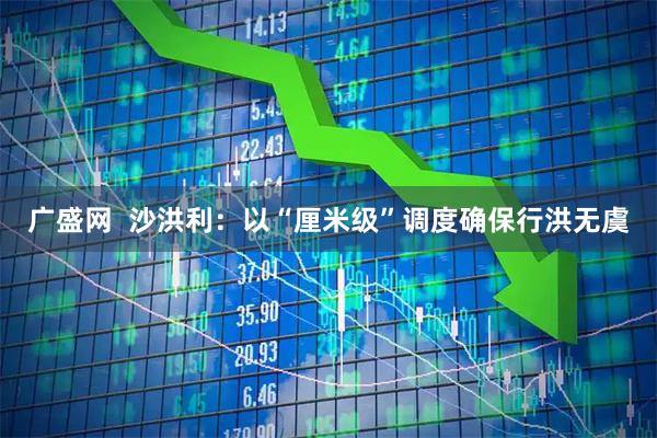 广盛网  沙洪利：以“厘米级”调度确保行洪无虞