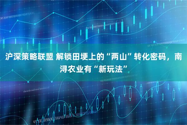 沪深策略联盟 解锁田埂上的“两山”转化密码，南浔农业有“新玩法”