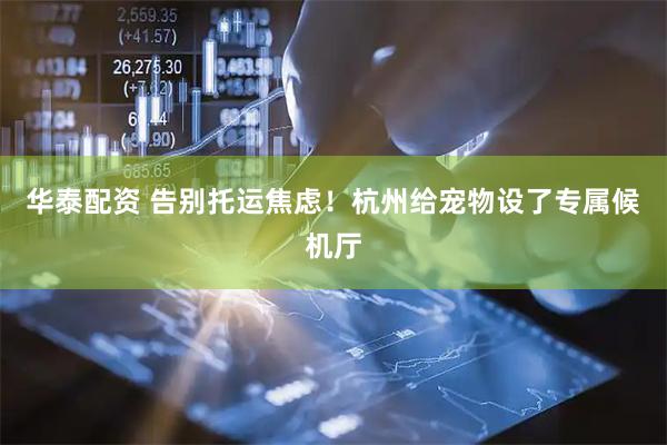 华泰配资 告别托运焦虑!杭州给宠物设了专属候机厅