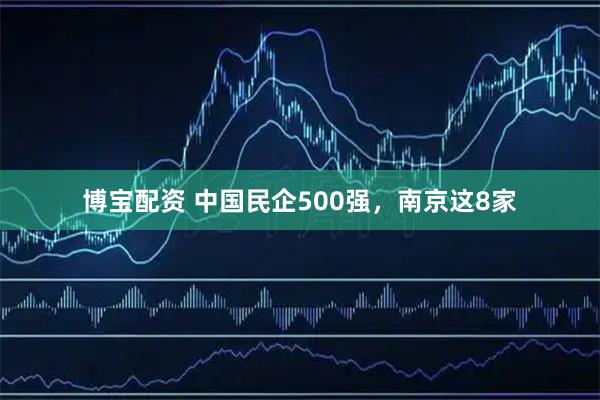 博宝配资 中国民企500强，南京这8家