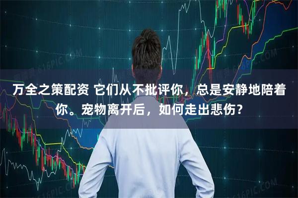 万全之策配资 它们从不批评你，总是安静地陪着你。宠物离开后，如何走出悲伤？