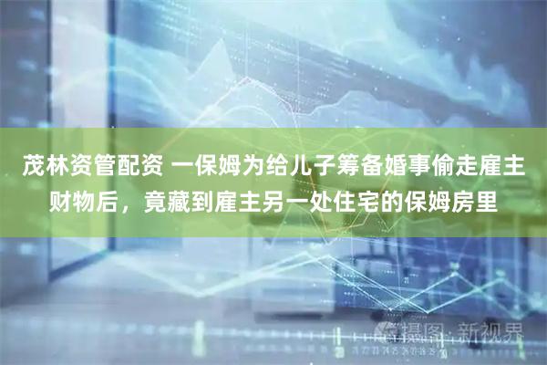 茂林资管配资 一保姆为给儿子筹备婚事偷走雇主财物后，竟藏到雇主另一处住宅的保姆房里
