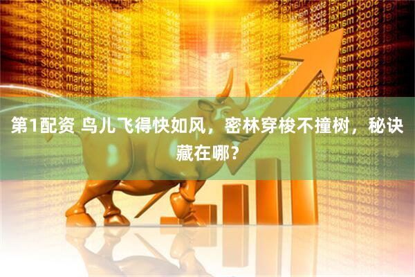 第1配资 鸟儿飞得快如风，密林穿梭不撞树，秘诀藏在哪？