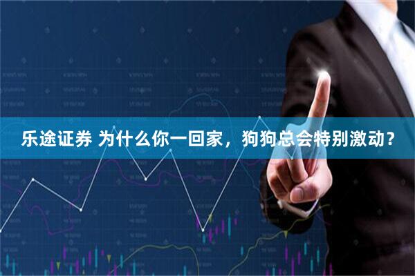 乐途证券 为什么你一回家，狗狗总会特别激动？