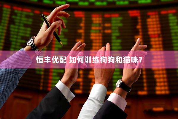 恒丰优配 如何训练狗狗和猫咪？