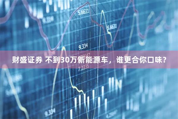 财盛证券 不到30万新能源车，谁更合你口味？