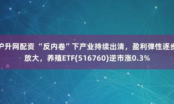 沪升网配资 “反内卷”下产业持续出清，盈利弹性逐步放大，养殖ETF(516760)逆市涨0.3%