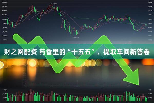 财之网配资 药香里的“十五五”，提取车间新答卷